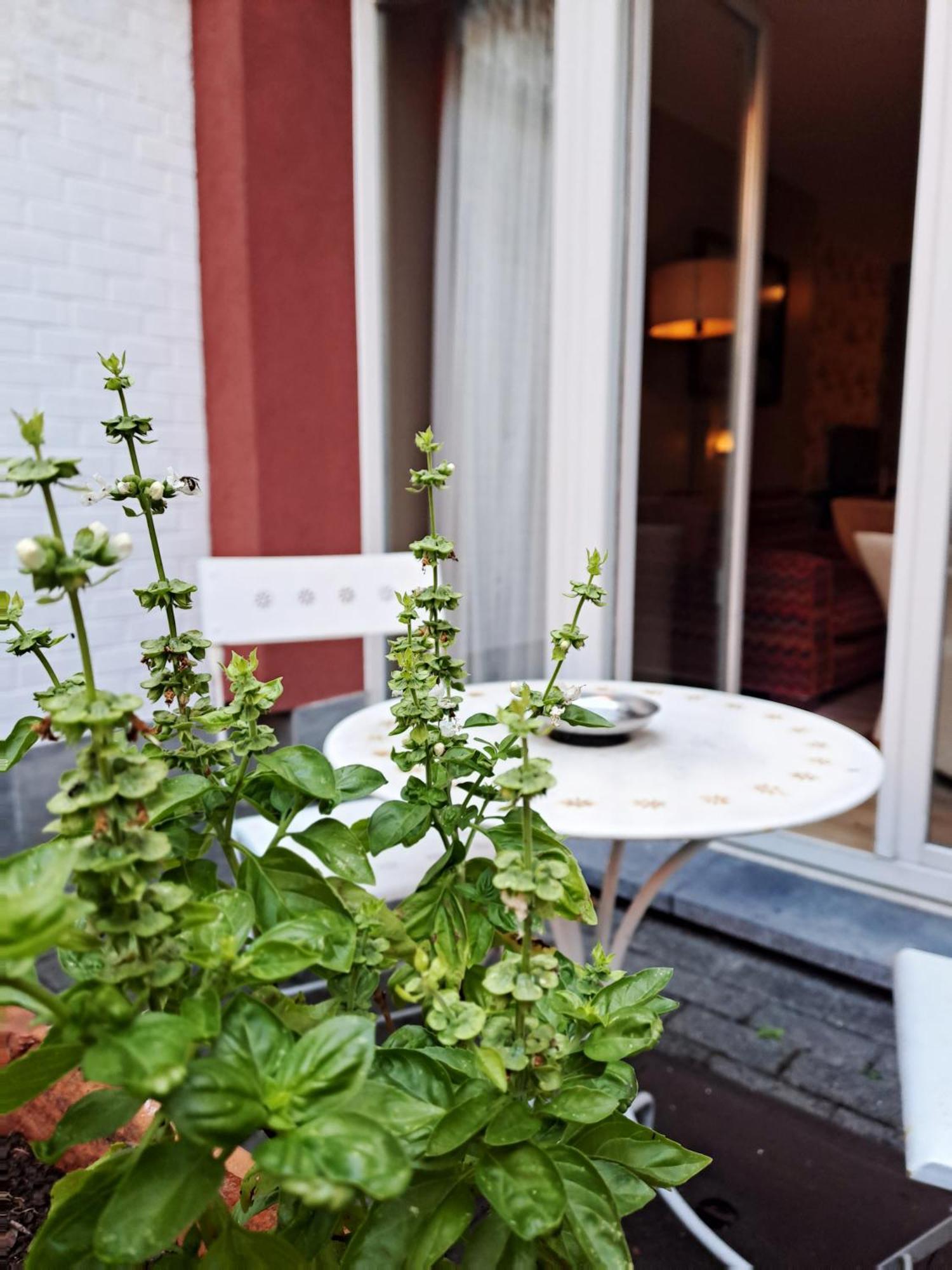 Mas Aparthotel Eu Brusel Exteriér fotografie